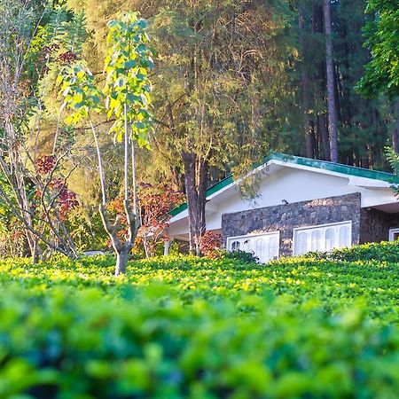 Greendale Holiday Bungalow Vila Watawala Exterior foto