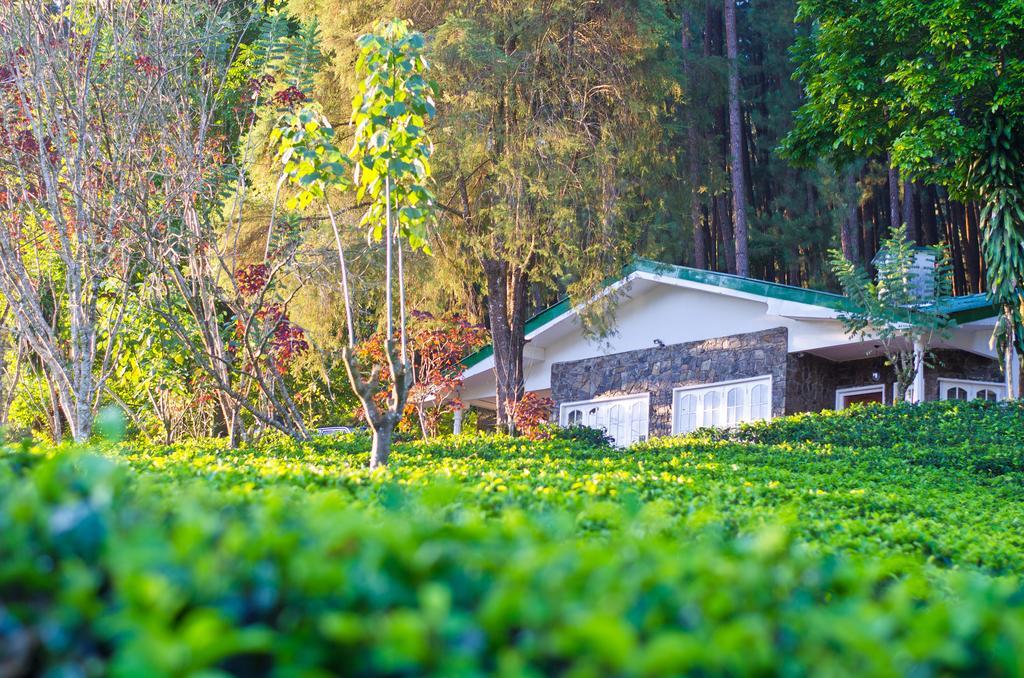 Greendale Holiday Bungalow Vila Watawala Exterior foto